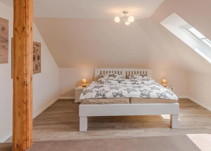 Schobueller Seestern