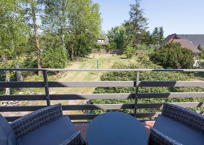 Schobueller Seestern *